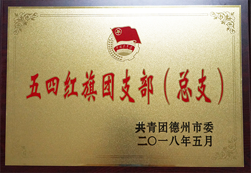 星空在线官网-星空（中国）
荣获“德州市五四红旗团支部”荣誉称号